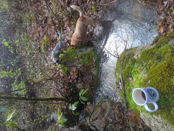 Jezra's coffee picture for 2026-01-06