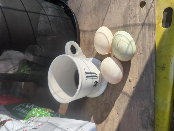 Jezra's coffee picture for 2026-01-12