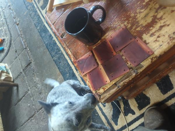 Jezra's coffee picture for 2026-01-21