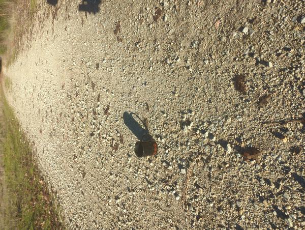 Jezra's coffee picture for 2026-01-24