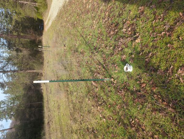 Jezra's coffee picture for 2026-01-31