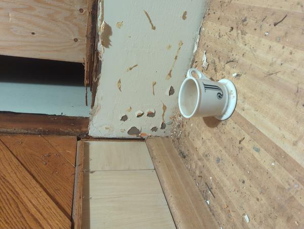 Jezra's coffee picture for 2026-02-03