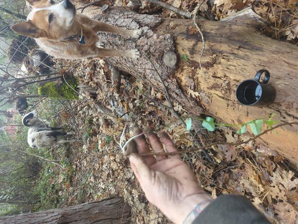 Jezra's coffee picture for 2026-02-14