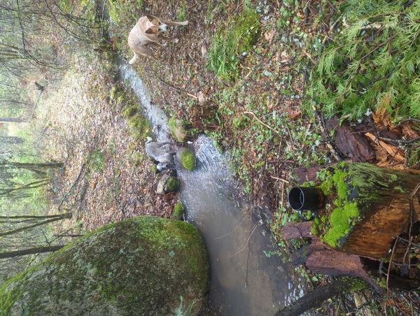 Jezra's coffee picture for 2026-02-18