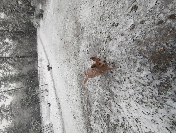 Jezra's coffee picture for 2026-02-19