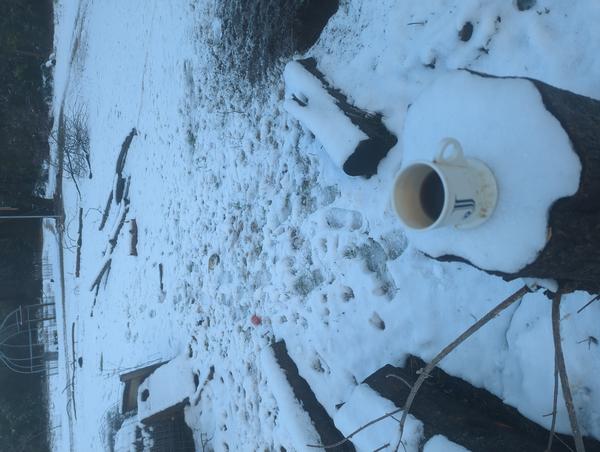 Jezra's coffee picture for 2026-02-20