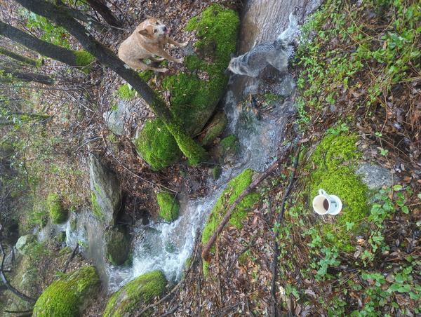 Jezra's coffee picture for 2026-02-25