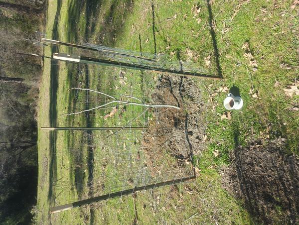 Jezra's coffee picture for 2026-03-03