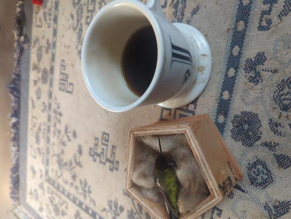 Jezra's coffee picture for 2026-03-16