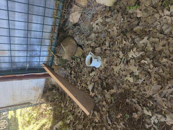 Jezra's coffee picture for 2026-03-17