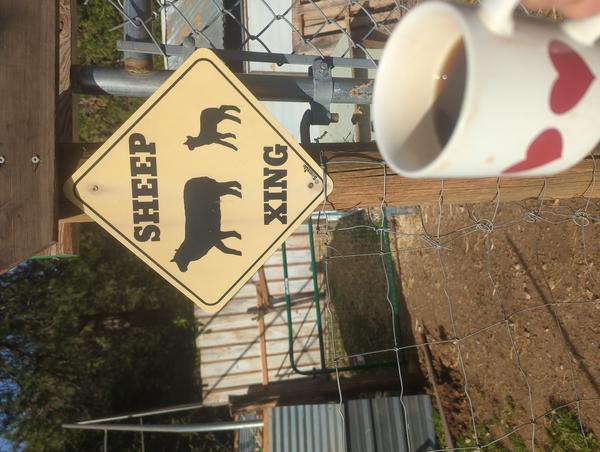 Jezra's coffee picture for 2026-03-26