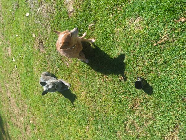 Jezra's coffee picture for 2026-04-02