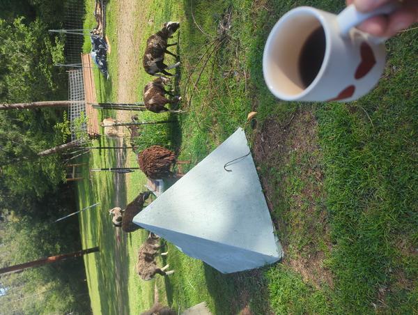 Jezra's coffee picture for 2026-04-05