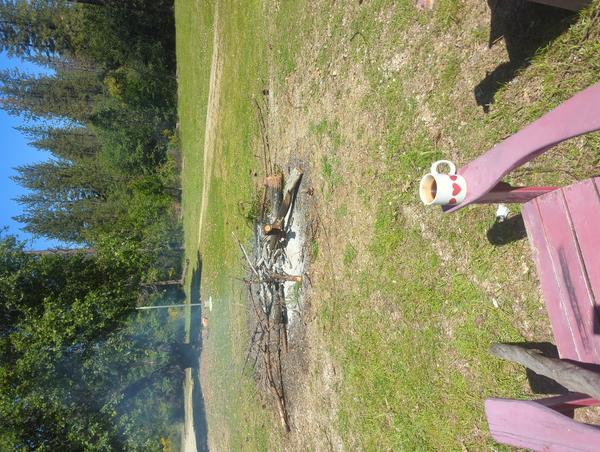 Jezra's coffee picture for 2026-04-16