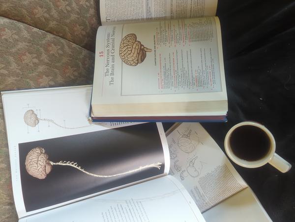 Jezra's coffee picture for 2026-08-21