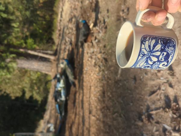 Jezra's coffee picture for 2026-08-31