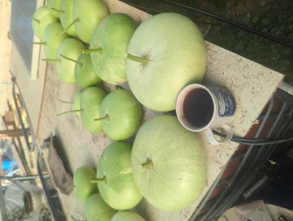 Jezra's coffee picture for 2026-09-22